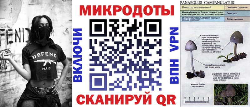 мега зеркало купить наркотик Нижний Тагил Галлюциногенные грибы мицелий